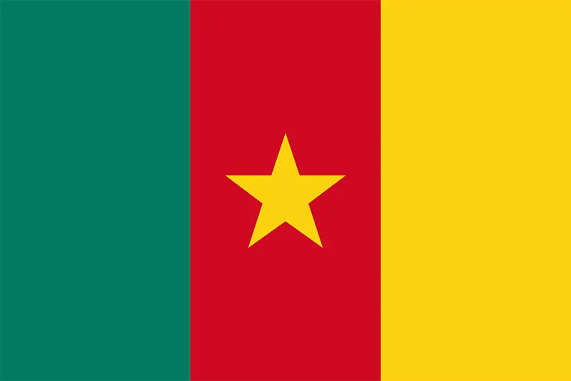 Cameroon-Flag